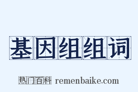 基因组组词是什么意思的图片